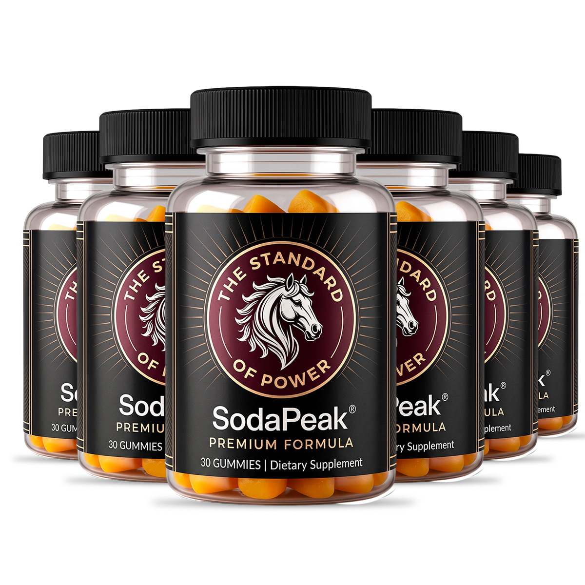 6 Bottles SodaPeak